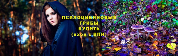 мдпв Арсеньев